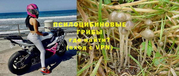 соль курить ск Пересвет