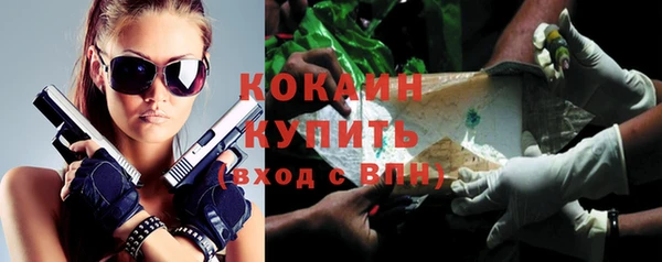 гидра Пестово