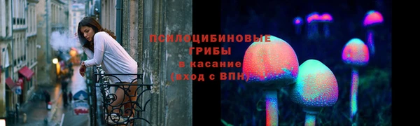 гидра Пестово