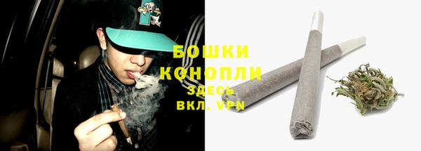 гидра Пестово