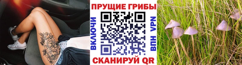 Галлюциногенные грибы Magic Shrooms  Усть-Лабинск 
