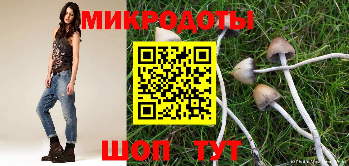 Галлюциногенные грибы GOLDEN TEACHER  Галлюциногенные грибы мицелий  Усть-Лабинск 